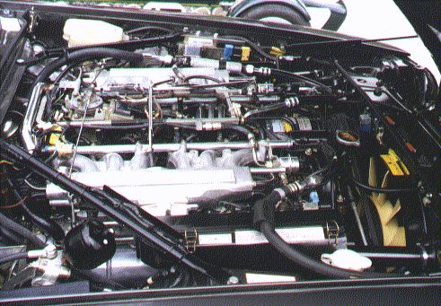 XJ-S Engine Compartment
