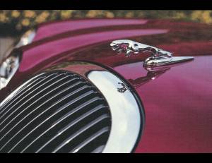 A Jaguar advertising image (changes daily)