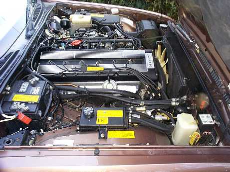 Rear Left Right Shocks for 1995-1997 Jaguar XJ6
